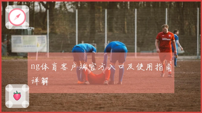 ng体育客户端官方入口及使用指南详解