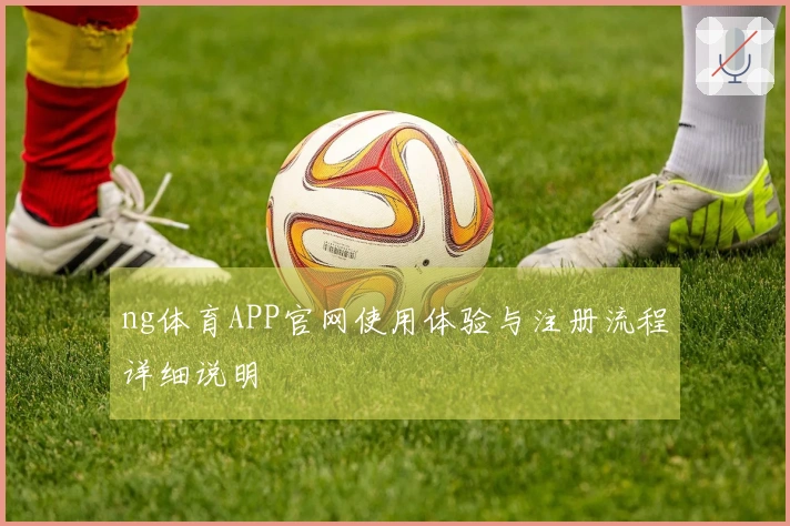 ng体育APP官网使用体验与注册流程详细说明
