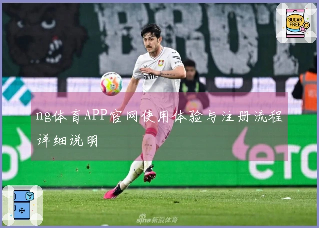 ng体育APP官网使用体验与注册流程详细说明