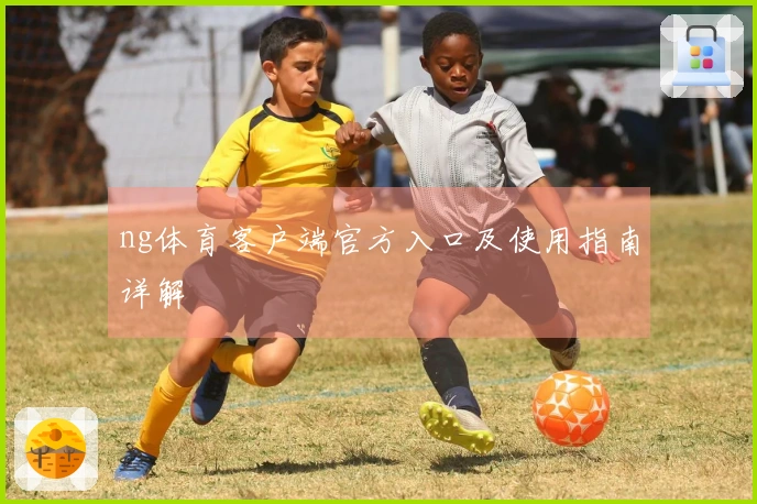 ng体育客户端官方入口及使用指南详解