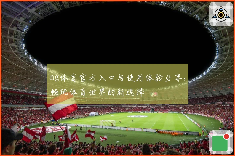 ng体育官方入口与使用体验分享，畅玩体育世界的新选择