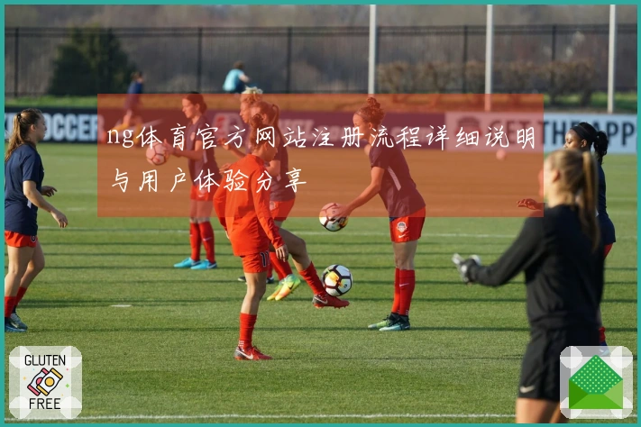 ng体育官方网站注册流程详细说明与用户体验分享