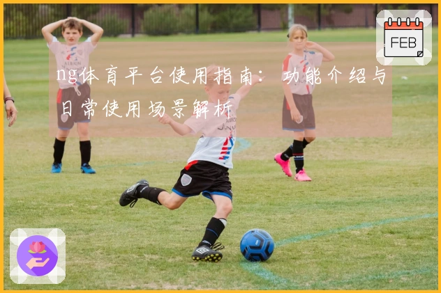 ng体育平台使用指南：功能介绍与日常使用场景解析