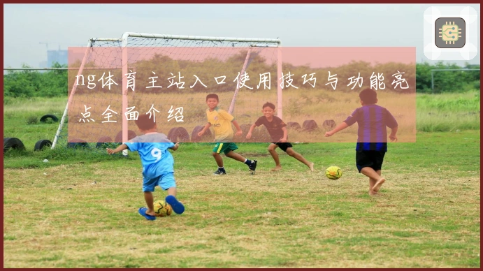 ng体育主站入口使用技巧与功能亮点全面介绍
